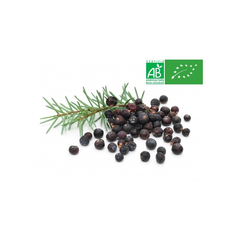 Baies de genevrier bio