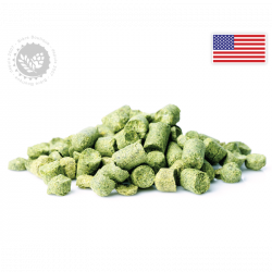 Luppolo Chinook, Origine USA