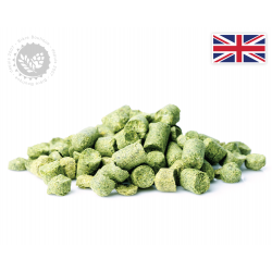Challenger hop, UK origin