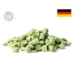 Houblon Hallertauer Mittelfrüh