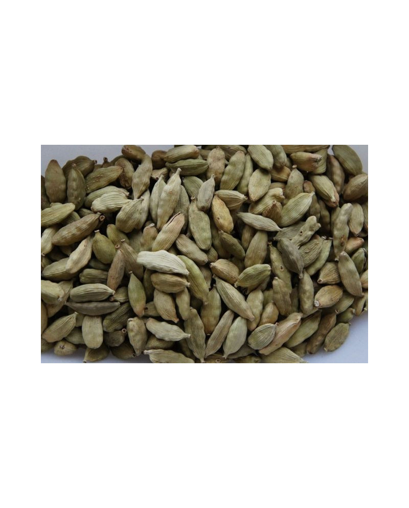 Graine de cardamome vert