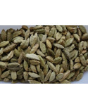 Graine de cardamome vert