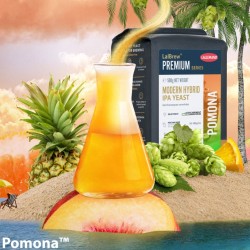 Lievito Lallemand POMONA™