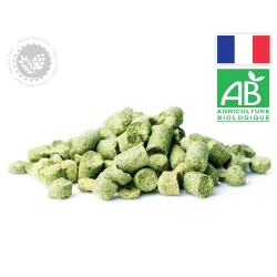Brewers Gold hop, BIO 2025,...
