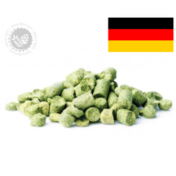 Luppolo Amarillo, Origine...