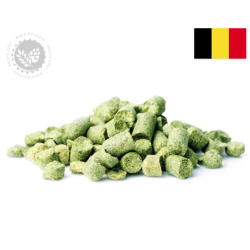 Houblon Target, Origine UK