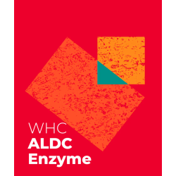 ALDC Enzyme